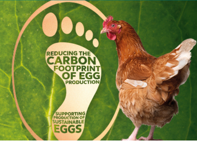 Orego-Stim®: Supporting Sustainable Egg Production