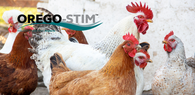 Trial Summary - Orego-Stim® Supports Broiler Liveability & Performance During A Necrotic Enteritis Challenge