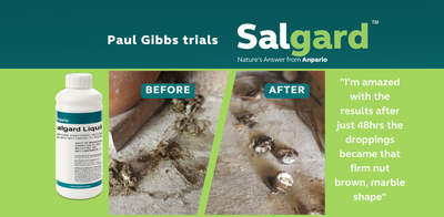 Paul Gibbs talks about Salgard Liquid