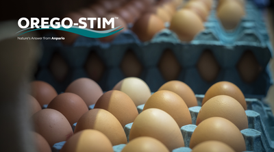 Trial Summary - Orego-Stim® Supports Efficient Lifetime Egg Production