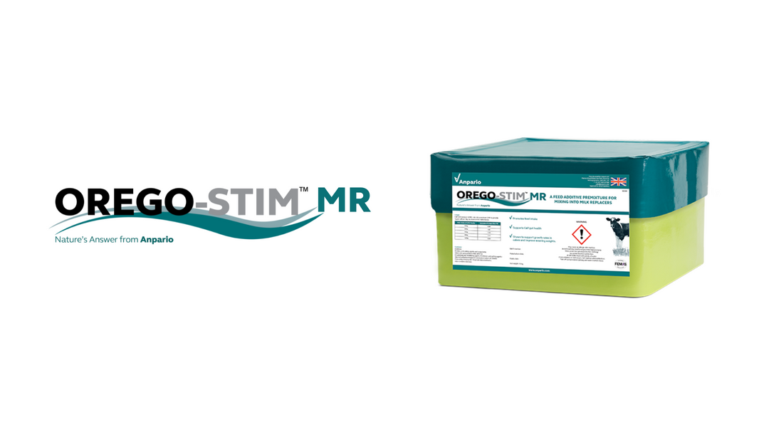 Orego-Stim® MR