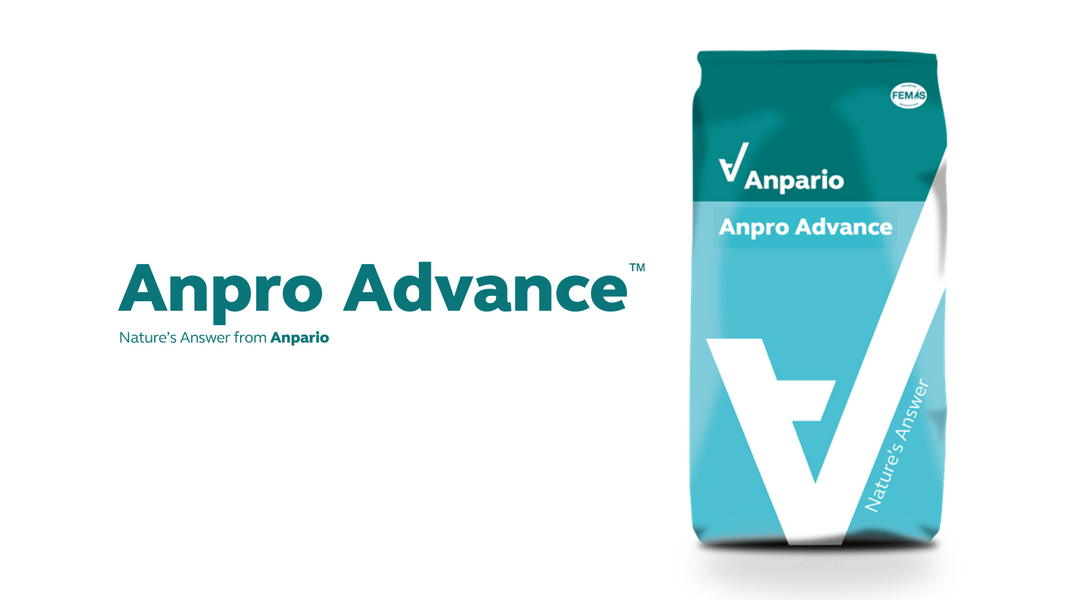 Anpro Advance