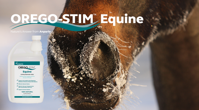 Hot Topic: Help your Horse Through the Colder Months Natural Solutions for Horse Wellbeing this Winter
