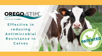 Anpario Awarded UK Patent for Orego-Stim®, the Composition of Which Reduces Antimicrobial Resistance in Calves