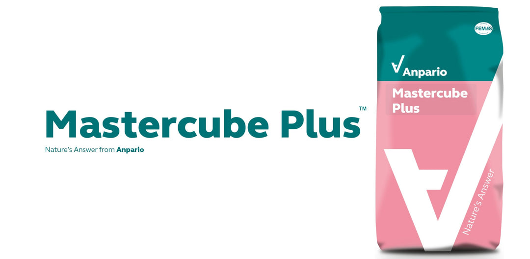 Mastercube Plus