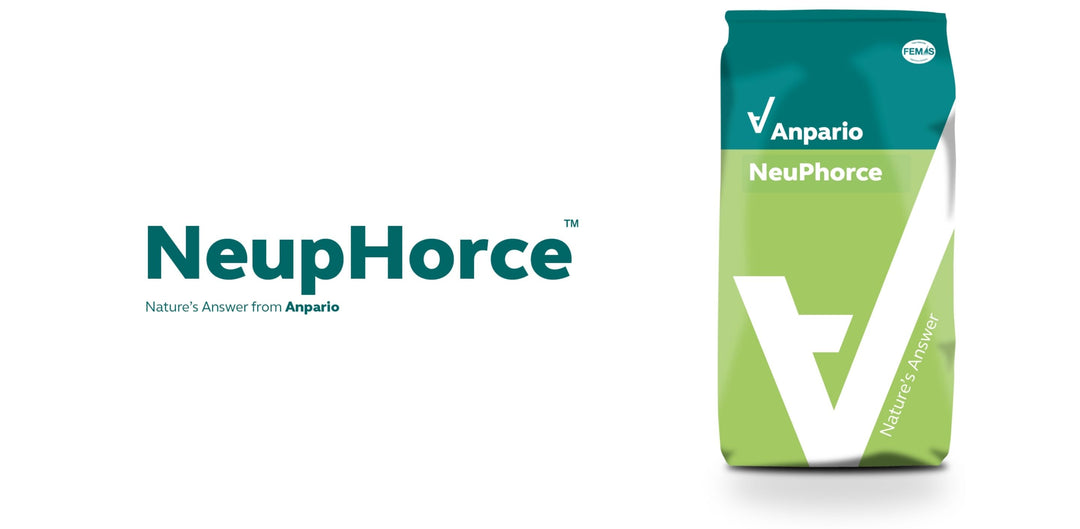 NeuPhorce