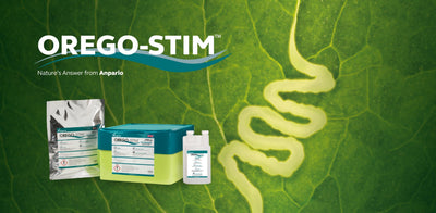 Orego-Stim® as a Natural Alternative to Coccidiostats