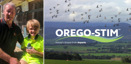 Orego-Stim® Liquid - Paul Steenson - VIC
