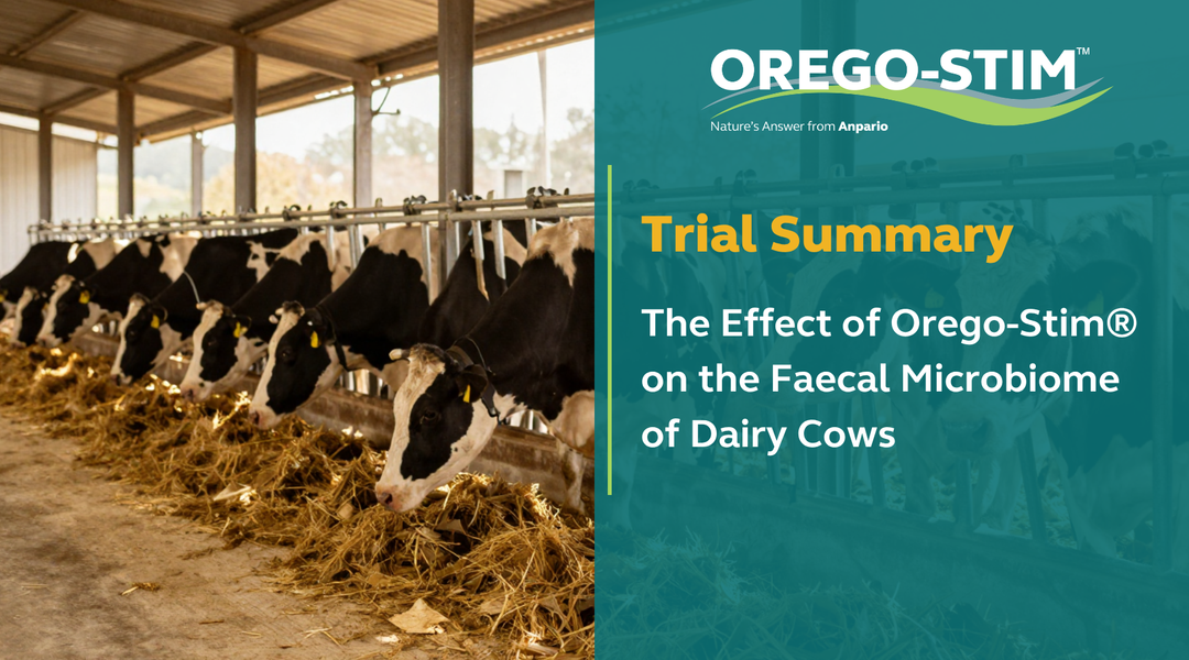 Trial Summary - The Effect of Orego-Stim on the Faecal Microbiome of Dairy Cows