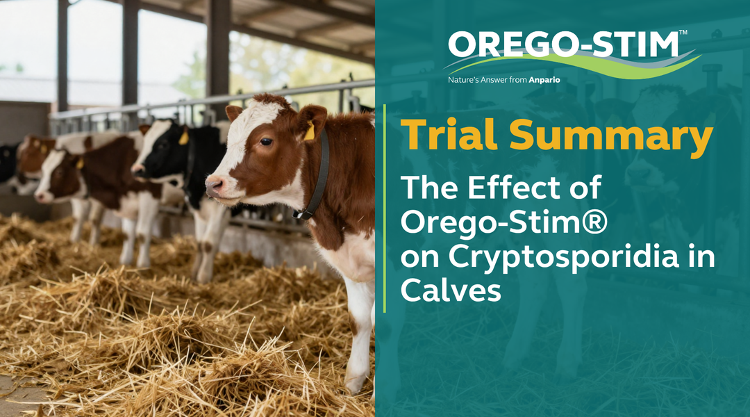 Trial Summary - The Effect of Orego-Stim® on Cryptosporidia in Calves