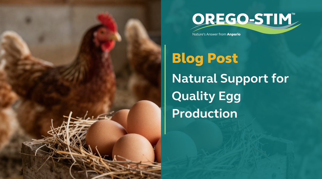 Natural Support for Quality Egg Production