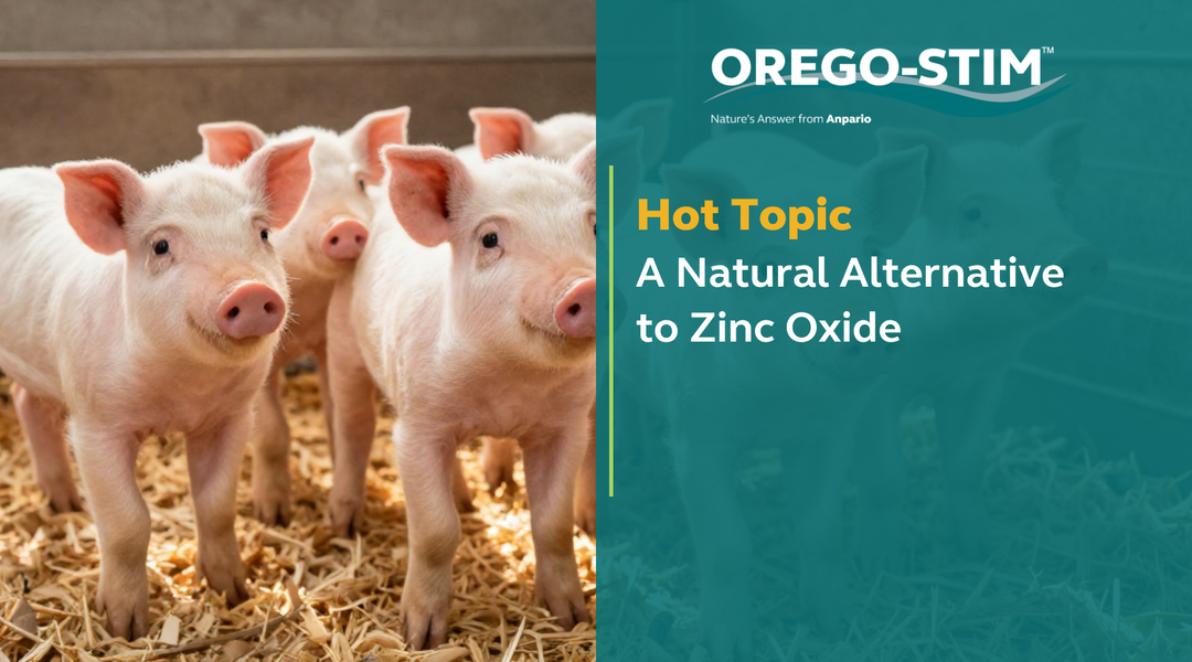 Hot Topic: A Natural Alternative to Zinc Oxide