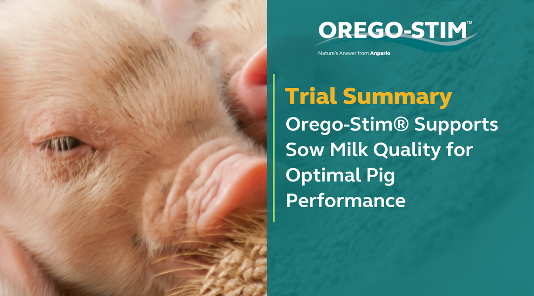 Trial Summary - Orego-Stim® Supports Sow Milk Quality for Optimal Pig Performance