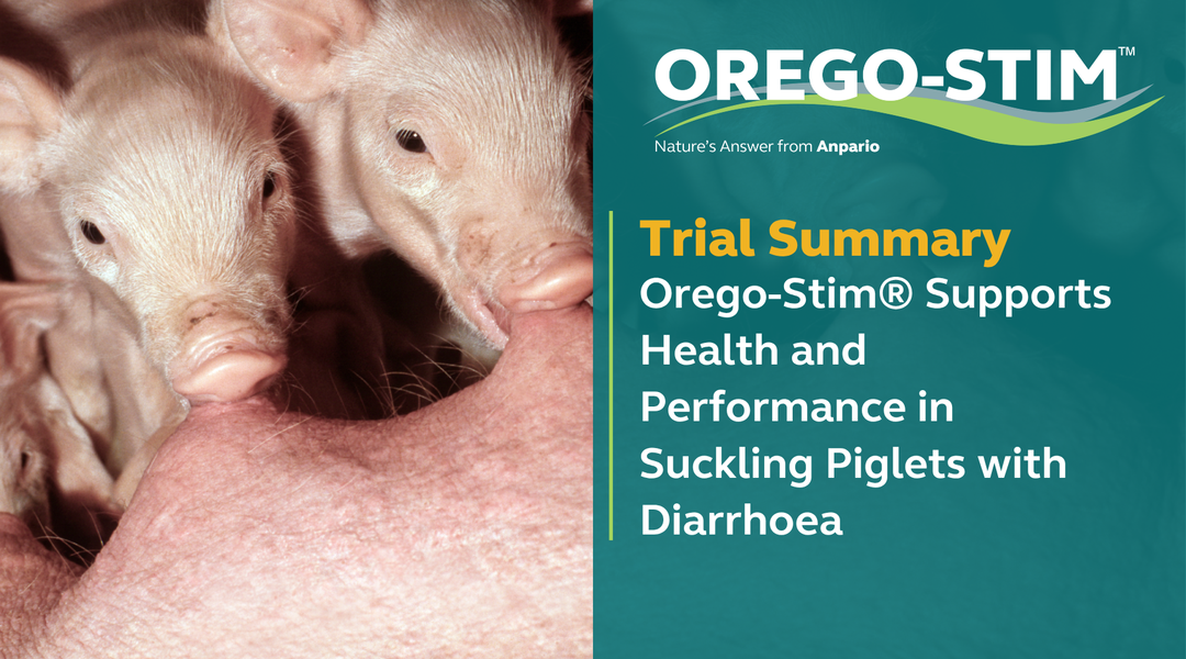 Trial Summary - Orego-Stim® Supports Health and Performance in Suckling Piglets with Diarrhoea