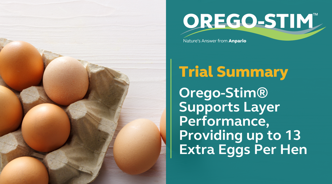 Trial Summary - Orego-Stim® Supports Layer Performance, Providing up to 13 Extra Eggs Per Hen