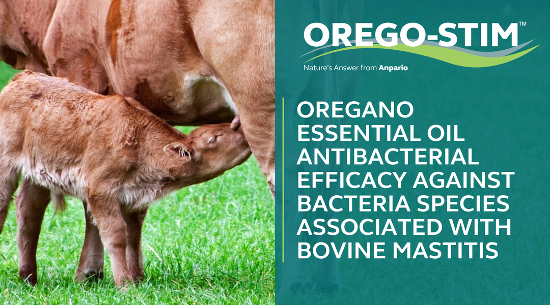 OREGANO ESSENTIAL OIL ANTIBACTERIAL EFFICACY AGAINST BACTERIA SPECIES ASSOCIATED WITH BOVINE MASTITIS