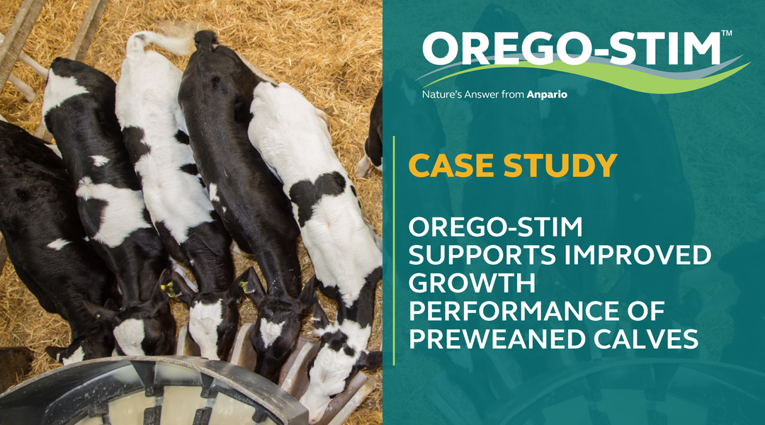 CASE STUDY: OREGO-STIM SUPPORTS IMPROVED GROWTH PERFORMANCE OF PREWEANED CALVES