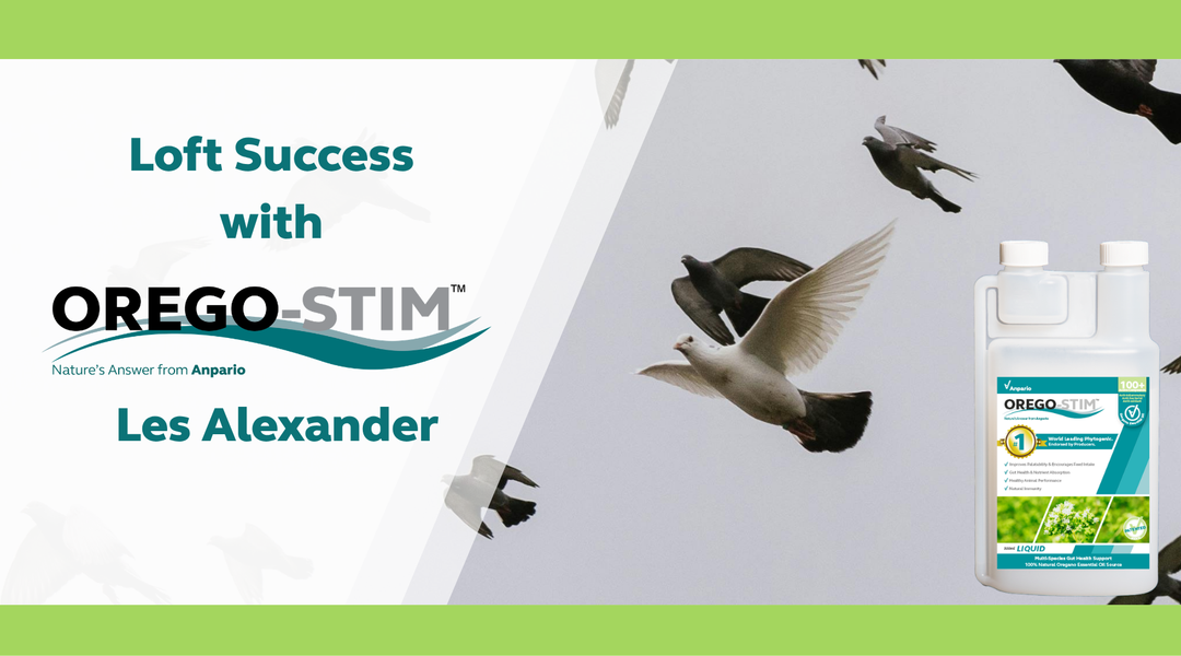 Orego-Stim® Liquid - Les Alexander - Dural Club - NSW