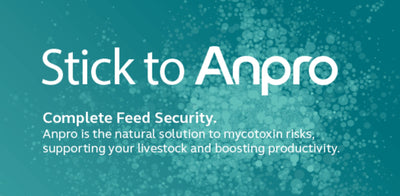 Natural Solution to Mycotoxin Risks:  Anpro Does Not Bind Minerals & Vitamins