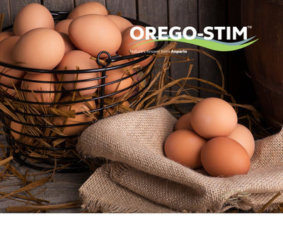 Commercial Study Orego-Stim® Liquid Supports Improved Egg Production in a Free Range System