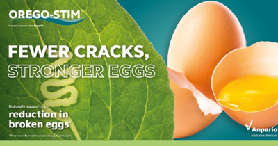 Natural Support for Quality Egg Production