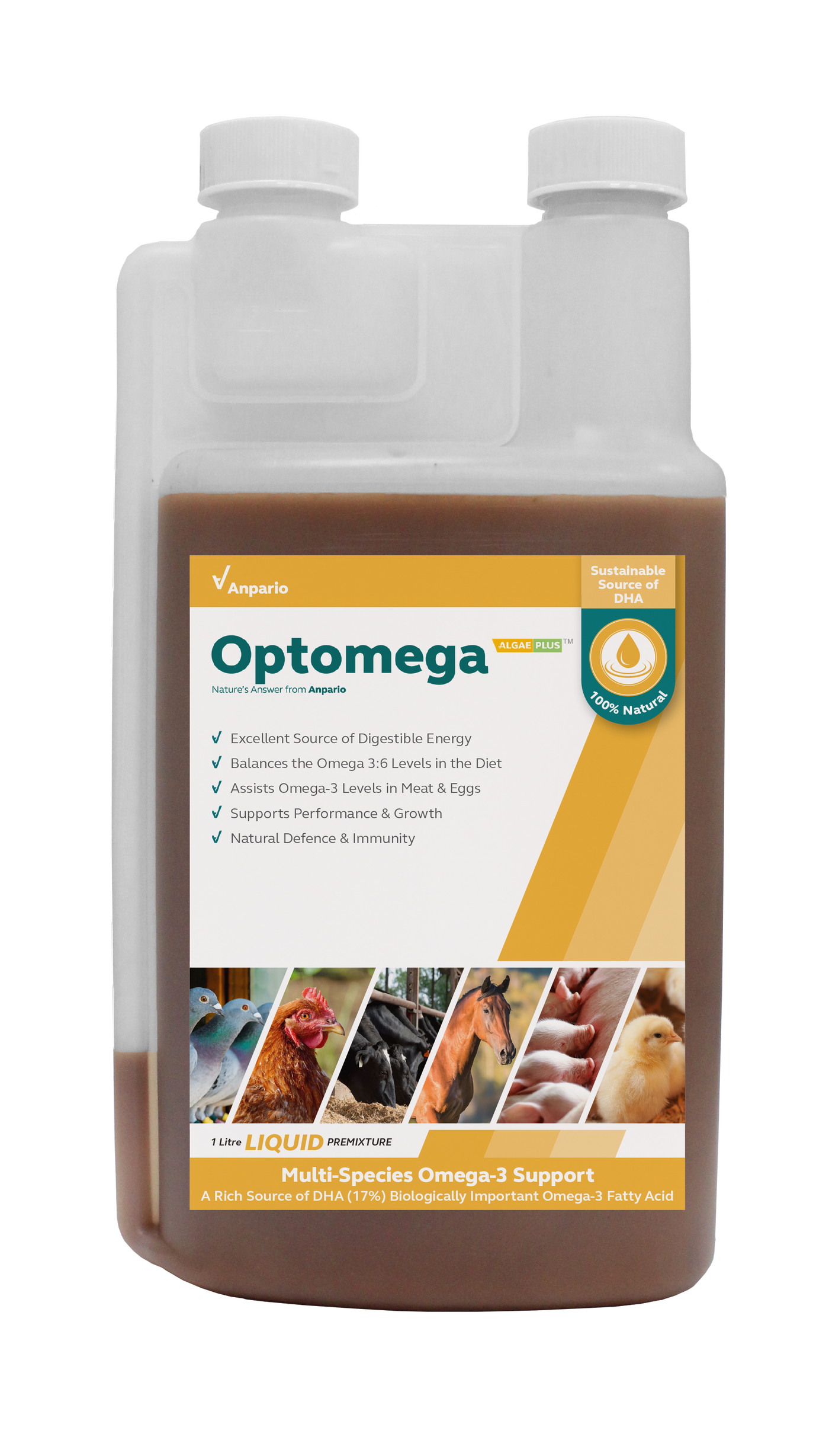 Optomega Algae Plus Liquid