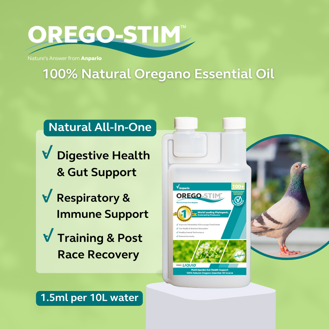 Orego-Stim Liquid - Concentrate for Pigeons