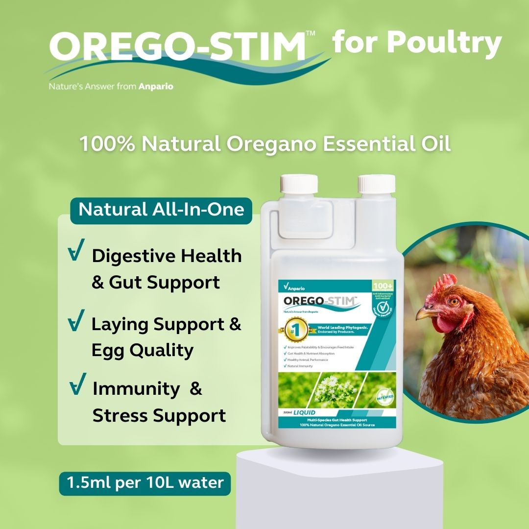 Orego-Stim Liquid for Poultry