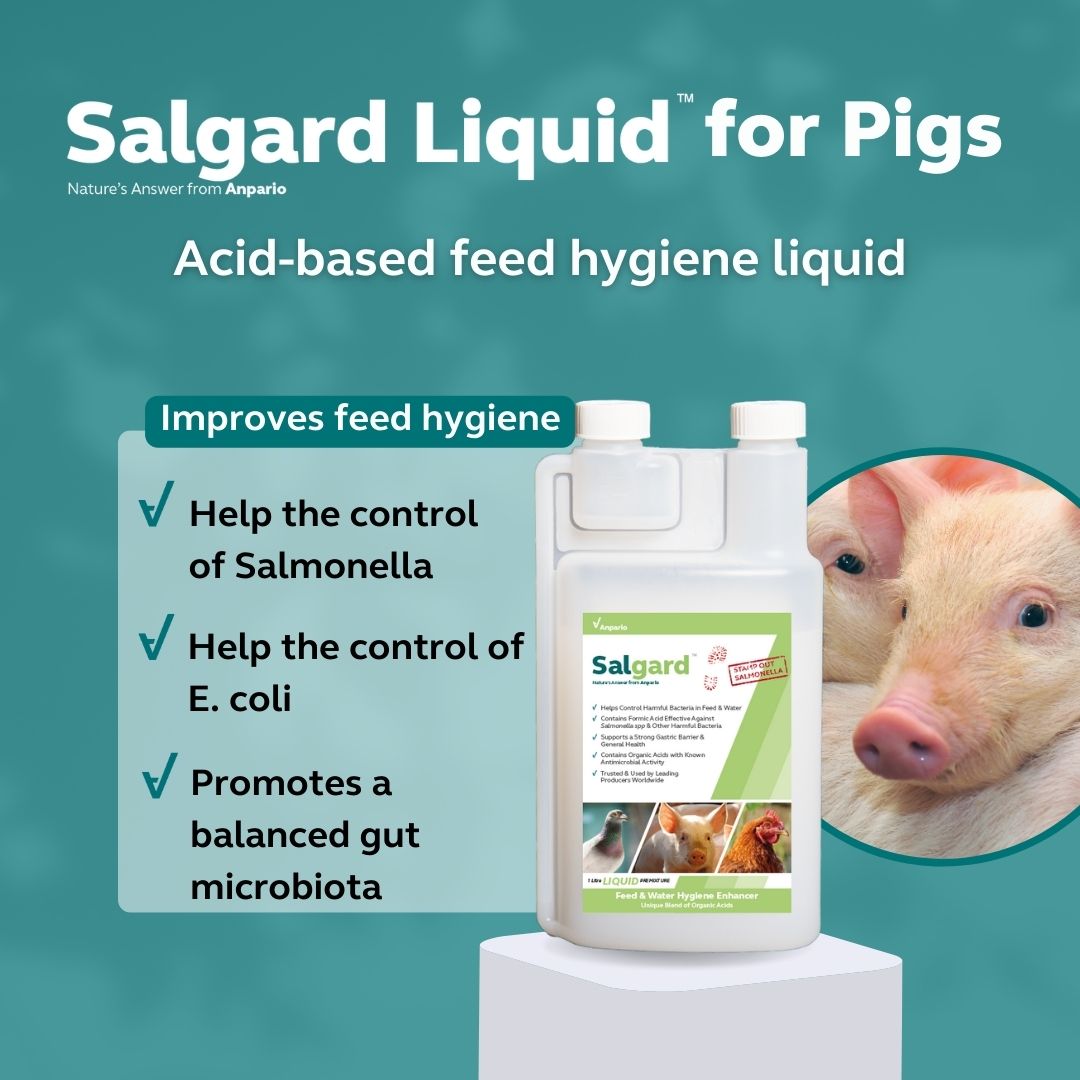 Salgard Liquid for Pigs 1 Litre