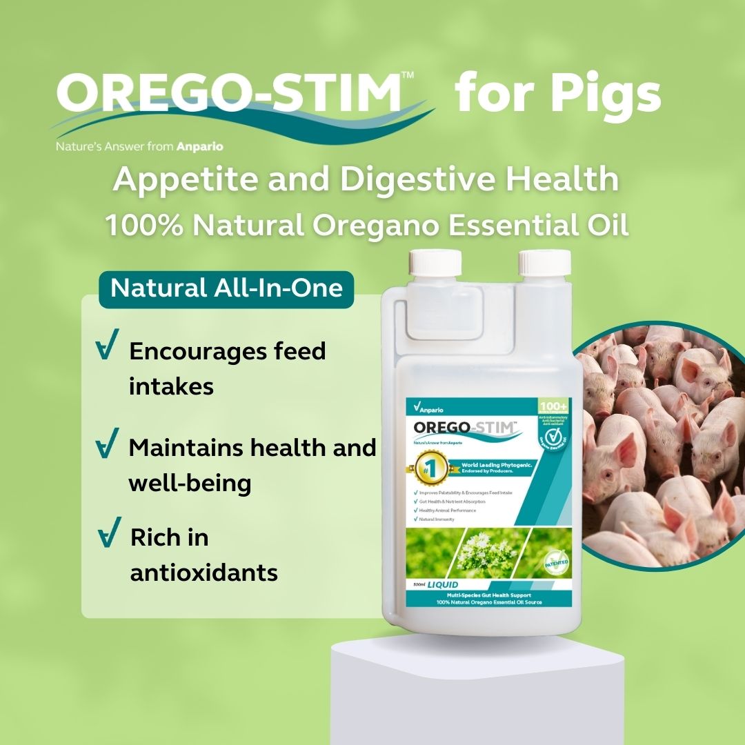 Orego-Stim Liquid for Swine