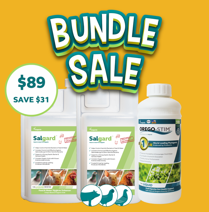 Avian and Swine Bundle - 2 x Salgard and 1 x Orego-Stim Liquid