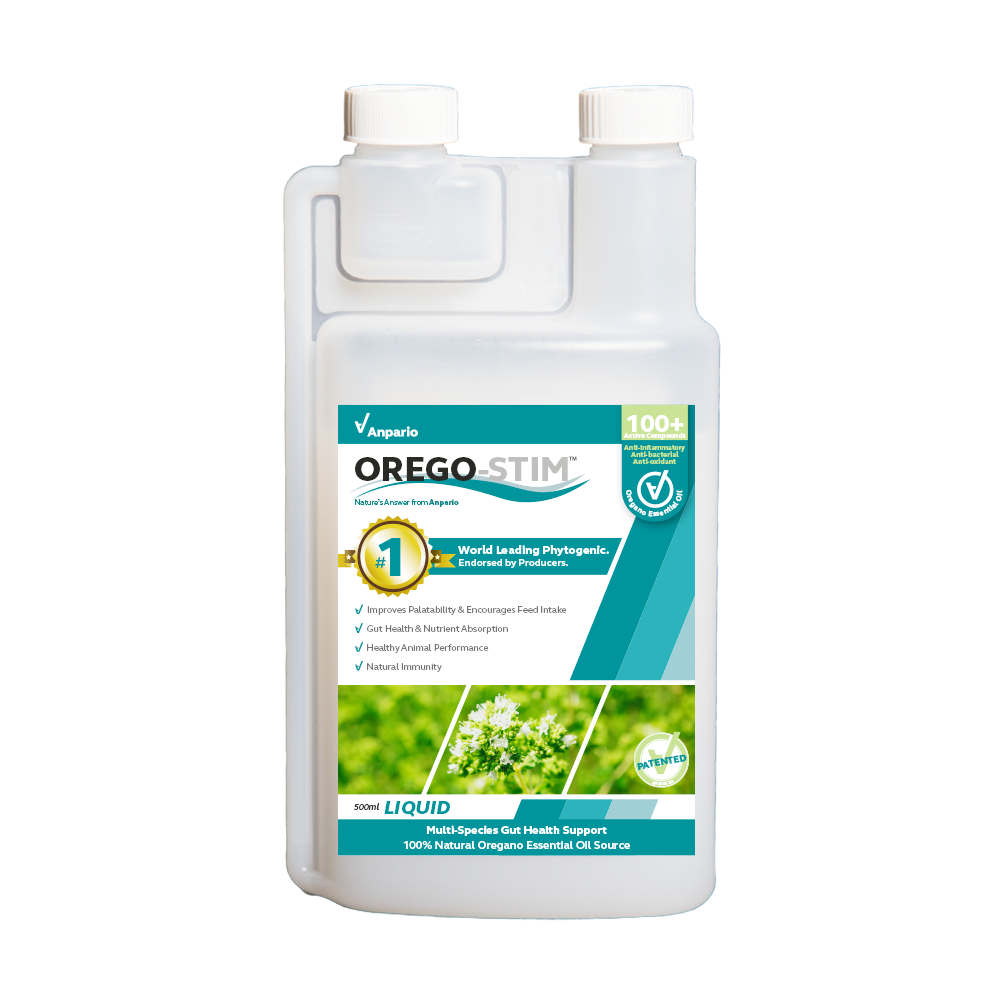 Orego-Stim Liquid - Concentrate for Pigeons