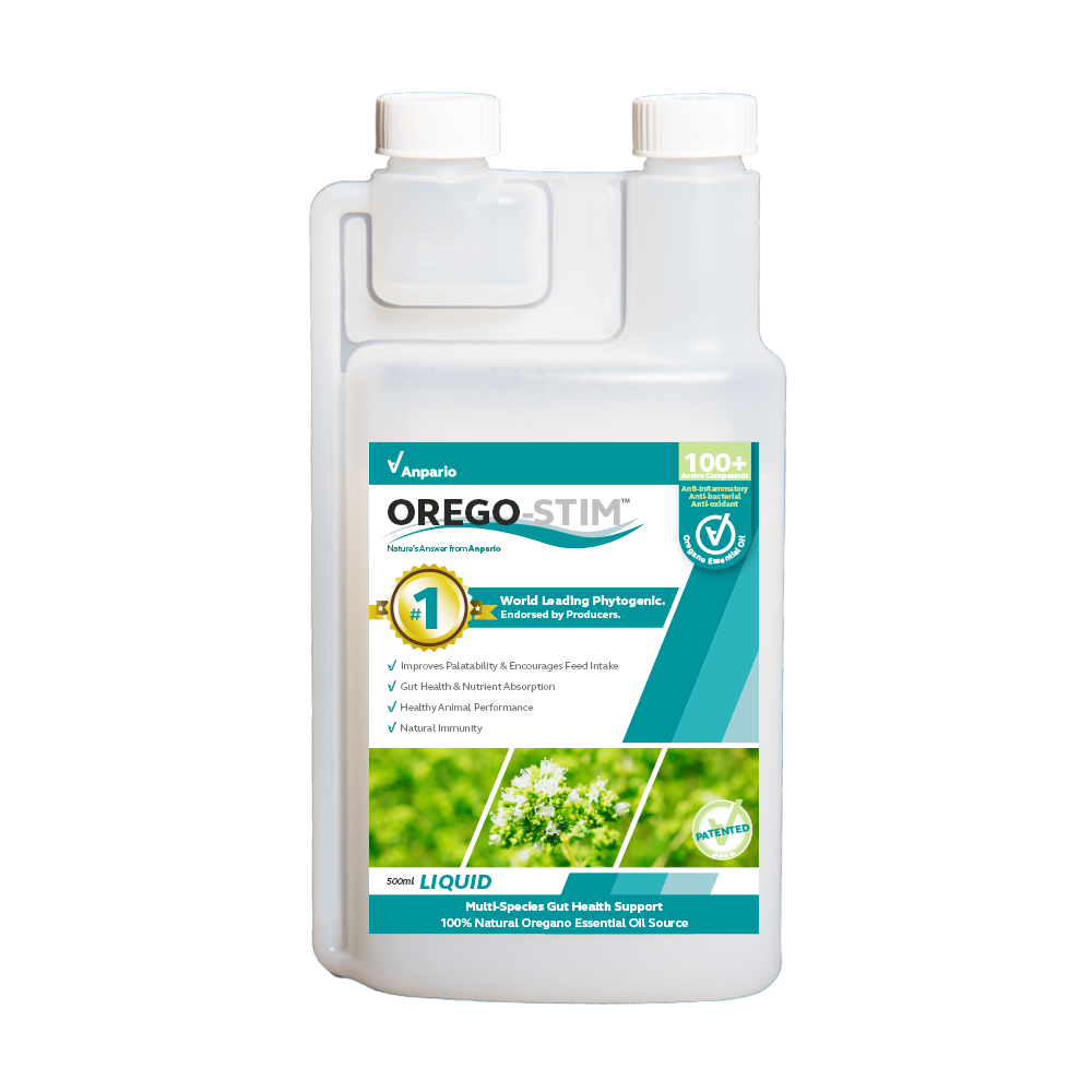 Orego-Stim Liquid 1L - Concentrate for Pigeons