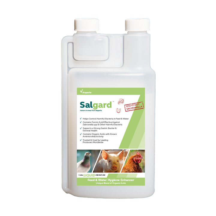 Avian and Swine Bundle - 2 x Salgard and 1 x Orego-Stim Liquid