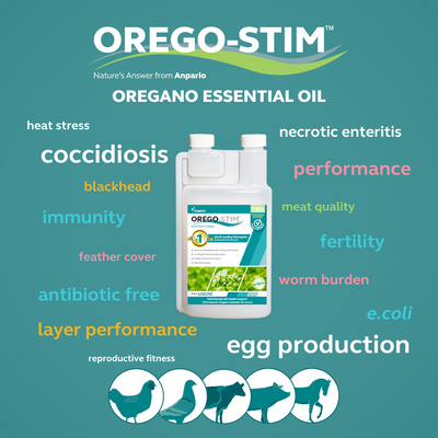Orego-Stim Liquid - Concentrate for Pigeons