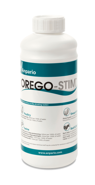 Orego-Stim Liquid for Avian and Pigeons