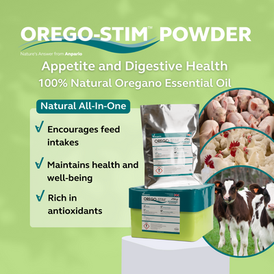 Orego-Stim Powder